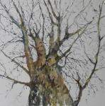 Skica k obrazu Strom / Sketch for the Painting Tree